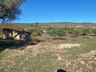 Finca rústica  3. Terreno a la venta en lolleria