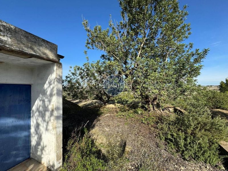 Foto 2beded03-b116-4807-bb8c-096c4d27c0e4. Chalet  a la venta en el en Palomar