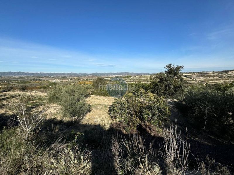 Foto 7d766692-c514-4201-af7c-fb6a17295716. Chalet  a la venta en el en Palomar