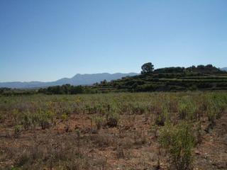 Terreny residencial  7. Terreno rústico mano en venta