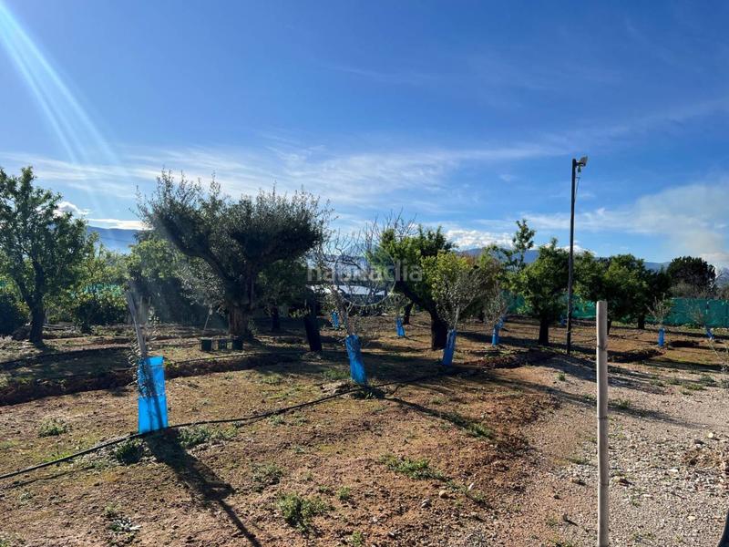 Foto 6a7410f3-e97e-47c3-9767-2bd9d886a8be. Chalet 2 chalets en venta en lolleria en una misma parcela . en Olleria (l´)