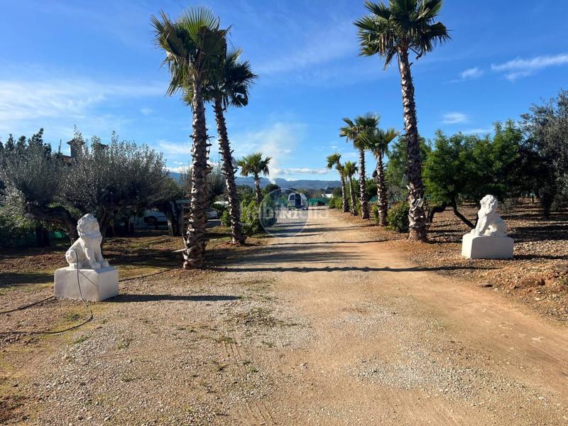 Foto 79b13f48-34a4-427a-99cc-a0c4a53ddf0e. Chalet 2 chalets en venta en lolleria en una misma parcela . en Olleria (l´)