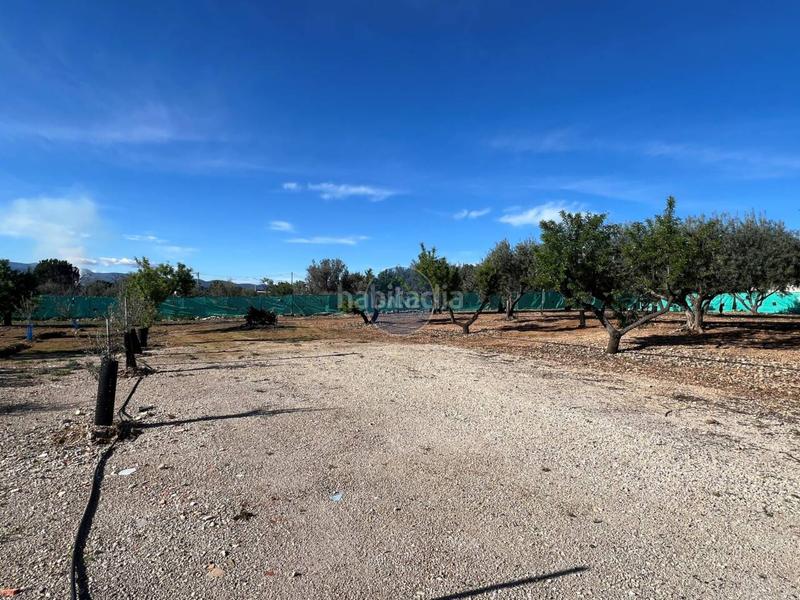 Foto abbe8c3d-38a5-4f1c-87c8-7791ffa83a7b. Chalet 2 chalets en venta en lolleria en una misma parcela . en Olleria (l´)