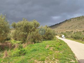 Finca rústica  Partida clot de la mona. Terreno con 99 olivos a pocos metros de la ruta de la cova negra