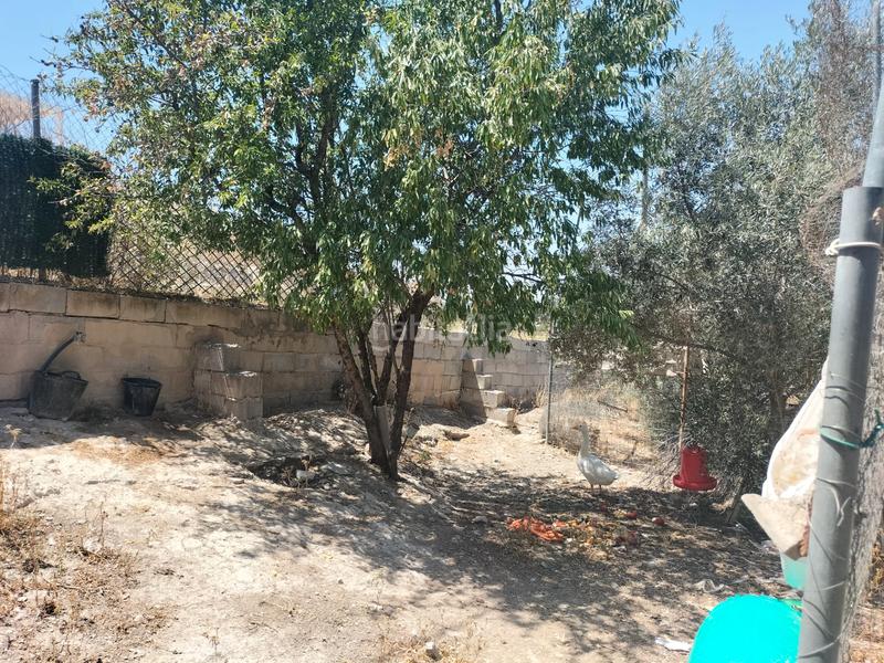 Foto c700a457-ad9b-4272-8fdf-0523145ea78e. Chalet in polígono industrial el castillo z.v.2 2d in Sax