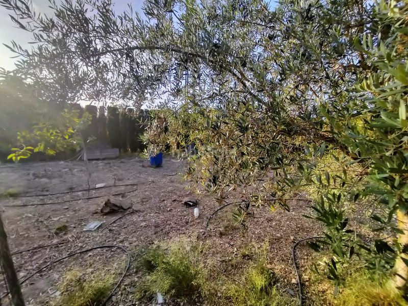 Foto c1732848-578b-4d34-8e06-f0b99ef1fea4. Xalet a partida camara 7062 a San Crispín-Huerta Nueva-Estación Elda