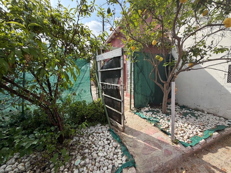 Foto a48e1592-4c44-4322-ac8c-fd726f464bd3. Maison dans Los Pinares-La Masia Bétera