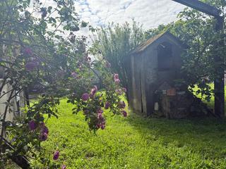 Bauernhof in Miño. Pazo en miño