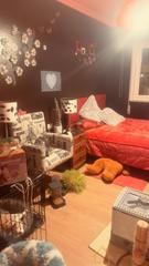 Location Appartement  San antonio. Lugopiso