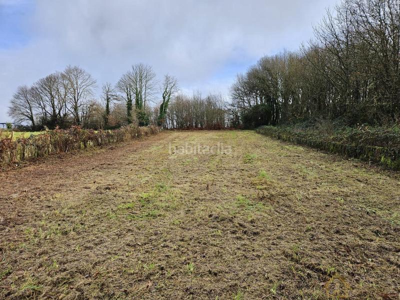 Foto bbcbbff0-bba5-41c1-a6e7-9bd754fee957. Wohngrundstück in Parroquias del Este Lugo