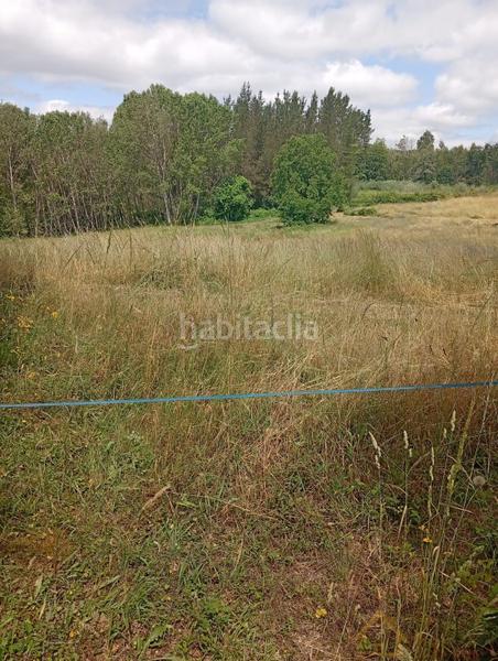 Foto 67a52cd9-13b8-40b4-99ae-feb64b730897. Haus in Castroverde