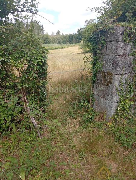 Foto baae3ad7-b7f6-41a4-b479-974d87b135b6. Haus in Castroverde