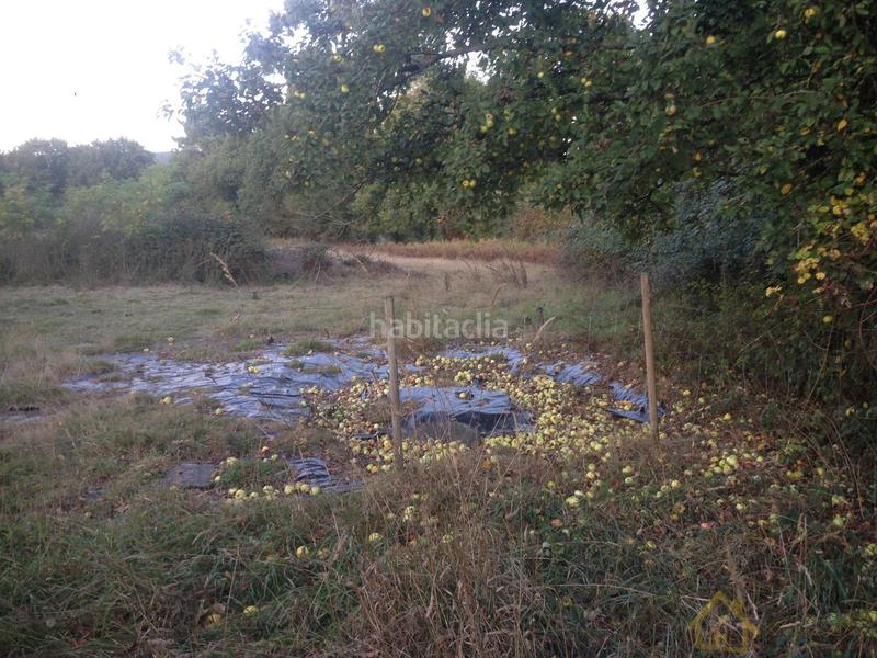 Foto 17bbb262-6f01-49c2-8c79-6f31be581d33. Haus in Guntín