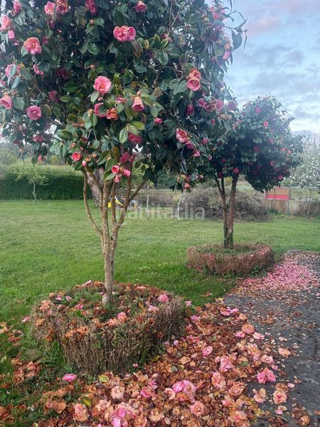 Foto 35100a81-c96c-4f7a-abc6-1294d86a78a4. Casa amb aparcament a Friol