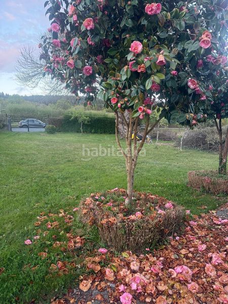 Foto 4c7062f3-1fd3-4447-a388-680b4bcd335d. Casa amb aparcament a Friol