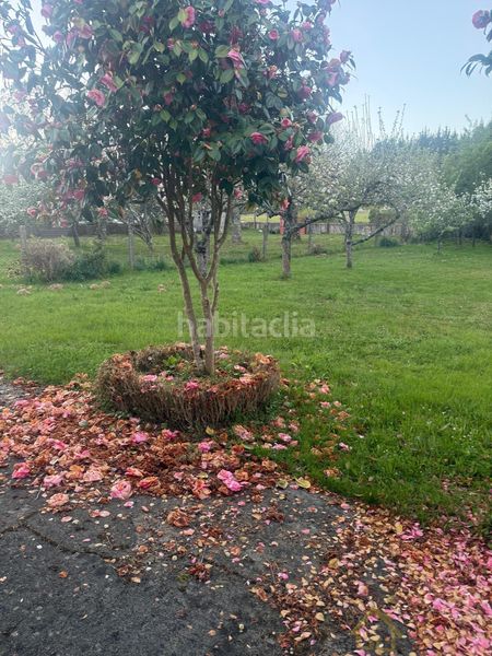 Foto 5c6161c9-3c08-4321-86ca-e5a92e0cfd3b. Casa amb aparcament a Friol