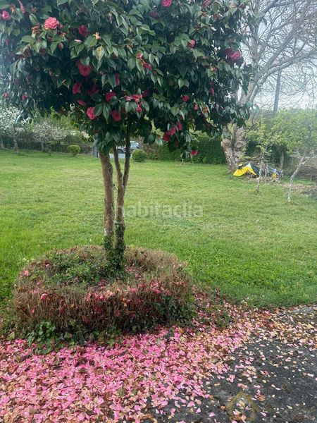 Foto 7fe88eee-7dcd-48cf-abe6-6c95b6322fc7. Casa amb aparcament a Friol