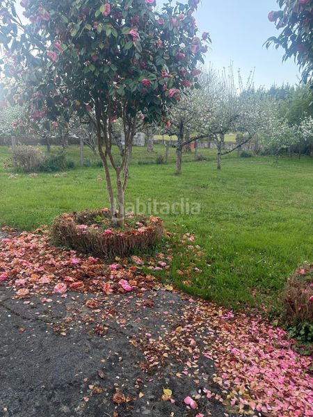 Foto b770148a-9aec-4aef-8469-623fc6edf1f2. Casa amb aparcament a Friol