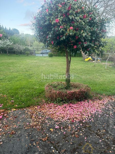 Foto dbedc6d1-8fe5-4ef0-83dc-3c2e54a6eb62. Casa amb aparcament a Friol