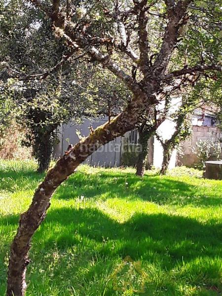 Foto 2583f2cb-5571-4639-aa06-529e5c635fdb. Terreno residenziale in Corgo (O)