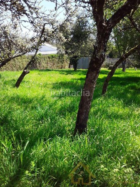 Foto a9cf0260-9a77-4ff3-b29f-caff8664a763. Terreno residenziale in Corgo (O)