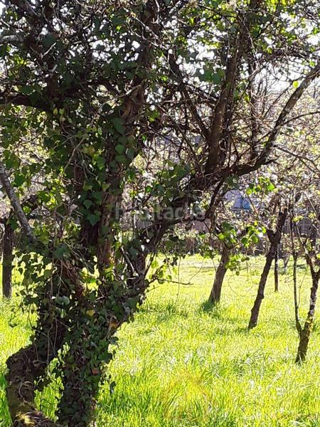 Foto e5189f93-eb3a-42e4-a9f7-a5562a598337. Terreno residenziale in Corgo (O)