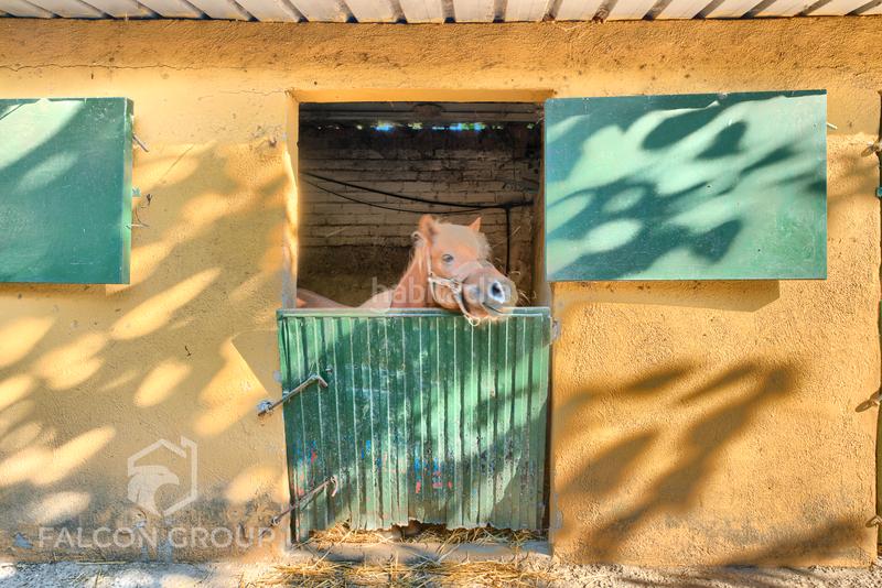 Foto b3f166ba-fc8a-409c-a355-1b70a7c15b11. Casa en Mas romeu Calafell