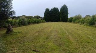 Finca rstica  Camio forxn