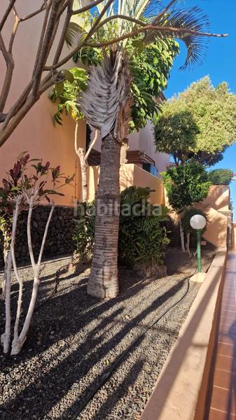 Foto dfb94b8e-a280-478e-8b25-47b17de88ba7. Pis a n/a a Golf del Sur - Amarilla Golf San Miguel de Abona