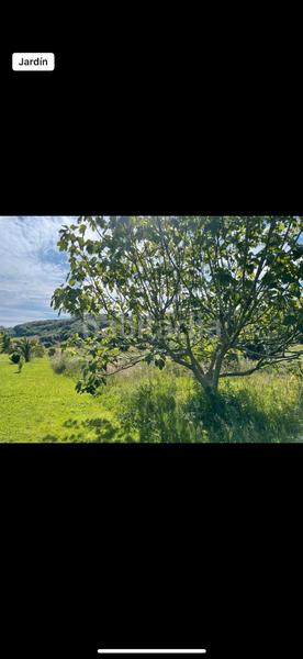 Foto 46057c30-ddba-4bc2-8c9d-a5849d353de2. Casa in barrio el escajal 1027 in Arnuero