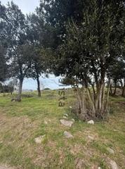 Terrain résidentiel à N/a. Venta de terreno urbano en meruelo