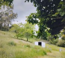 Fondo rustico in Bárcena de Cicero. Soy un rincón especial en ambrosero esperando a quien sepa verme