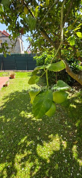 Foto 1468f81e-74a8-4670-8878-8c32419c3839. Planta baixa amb calefacció piscina a Meruelo