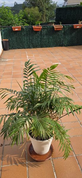 Foto e8063b7e-52ef-4177-83bd-6629f68cb264. Planta baixa amb calefacció piscina a Meruelo