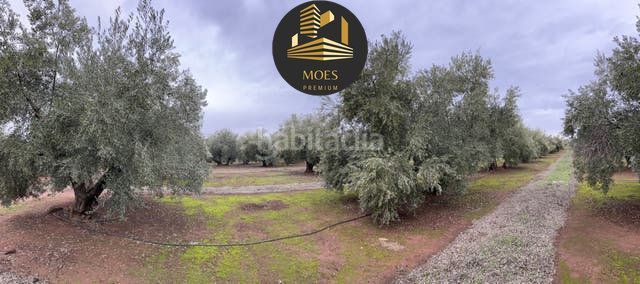 Foto 1e1c204d-3cb1-41ac-88ed-2d94b8a854ce. Terreny residencial a Arrayanes Linares