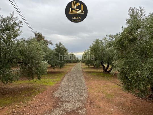 Foto 24df761d-5274-48a7-a36e-00e201bf4fb1. Terreny residencial a Arrayanes Linares