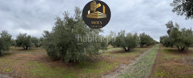 Foto 4a4297a4-c1ae-4dc1-b8fb-0f8b55415db2. Terreny residencial a Arrayanes Linares