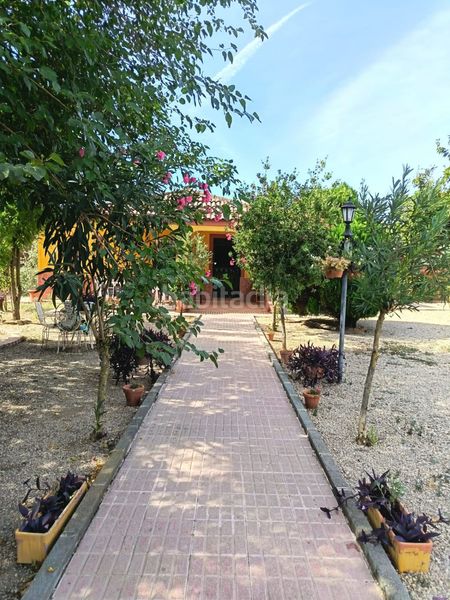Foto eb629993-05d2-45a8-999d-e599ce714762. Casa amb calefacció aparcament piscina a Centro ciudad Linares