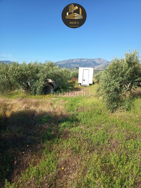 Foto 5a28c14d-c4d8-43ed-8e6b-8e2e363b90b1. Masia a Puente Tablas - Puente Nuevo - Cerro Molina Jaén