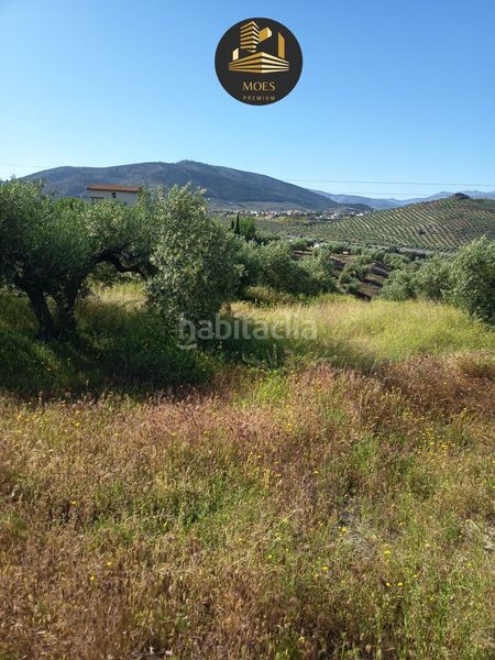 Foto 77ee7c6d-729e-49de-ae4c-d9cfb9887d88. Masia a Puente Tablas - Puente Nuevo - Cerro Molina Jaén