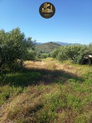 Country house in Puente Tablas - Puente Nuevo - Cerro Molina. Finca rúst. en venta en afueras de jaén  cerromolina.