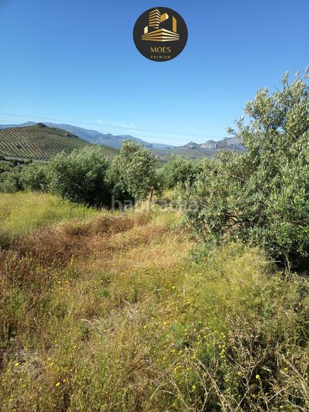 Foto a1549929-00c4-4019-8a75-0f26d5ca4df9. Masia a Puente Tablas - Puente Nuevo - Cerro Molina Jaén