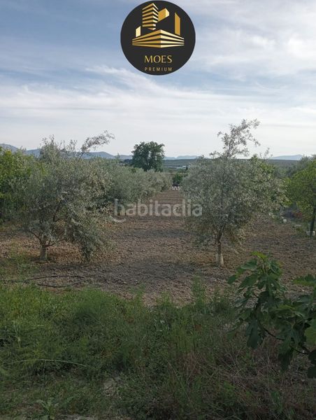 Foto 592998e6-6441-4fb3-af94-6675e27cf1ce. Xalet a Begíjar