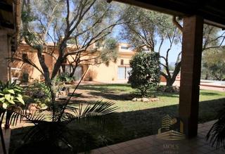 Masia en Petra. Palma de mallorcafinca de recreo