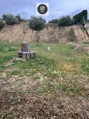 Residential Plot in Torredonjimeno. Solar en venta en madrid.