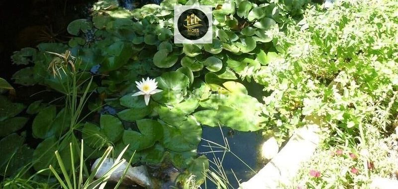 Foto 6a80684f-bc20-4b22-944d-c8334e35fee1. Xalet amb calefacció a Baeza