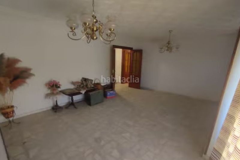 Foto 924a98d3-ea8d-4187-b9d1-e43244a33ad2. Pis a Jamilena