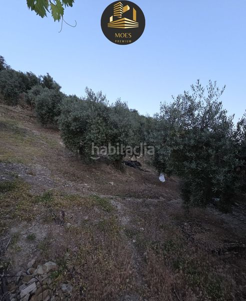 Foto a2af9d2d-124b-4679-8ef8-bec0ec352f47. Masia a Jabalcuz Jaén