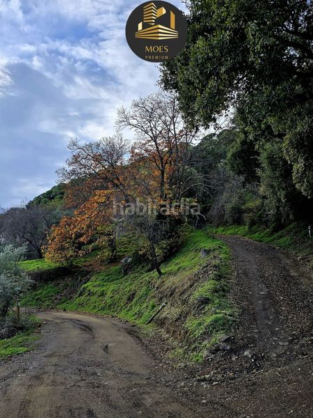 Foto aebe81ee-4b95-4ccd-b363-ef7356a945e6. Masia a Jubrique