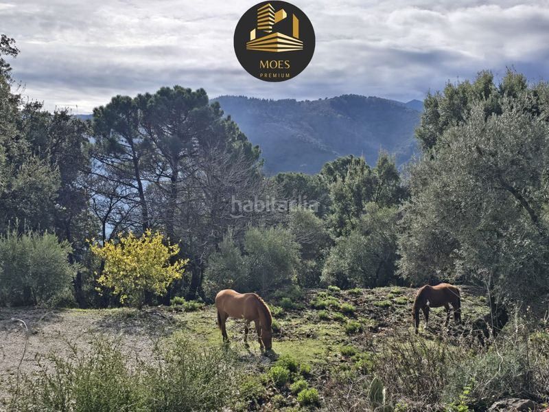 Foto cf1bc2aa-600d-4059-af77-0ddfe45276b7. Masia a Jubrique